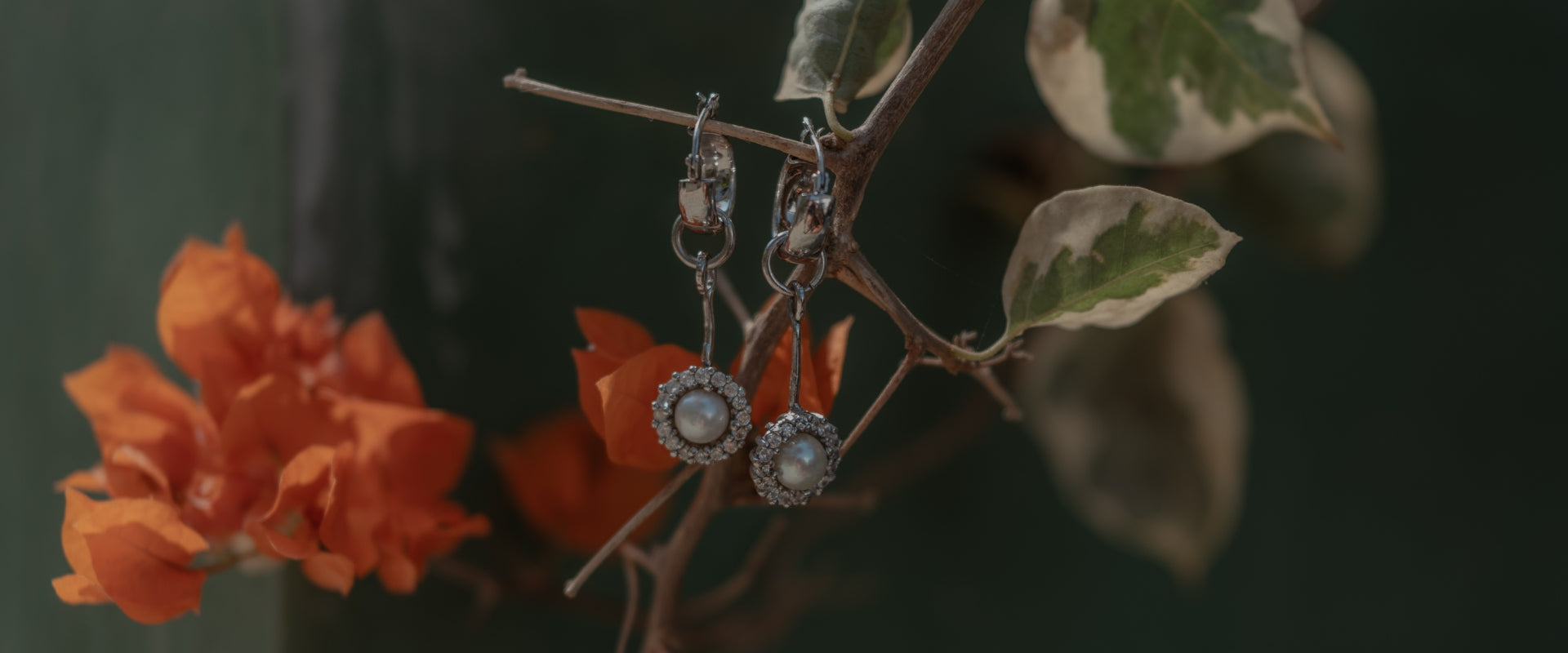 slider image slider_item_dym4hL